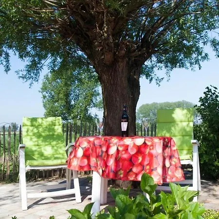 Bed & Breakfast In D'ouwe Vlaamse Schuur Ossendrecht